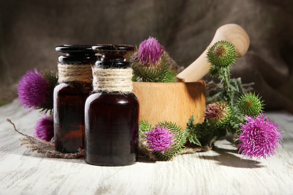 Milk Thistle Extract