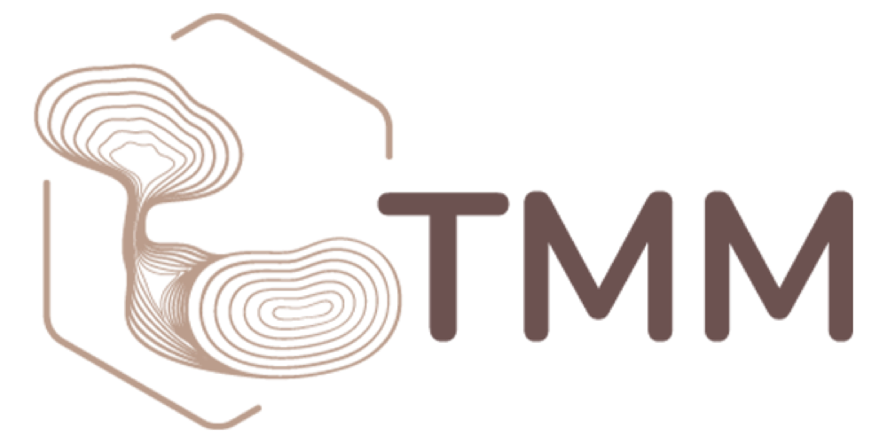 TMM-100